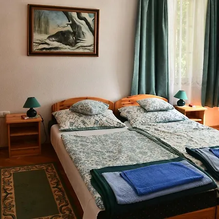 Guest house Keseru Volgyi Vendeghaz *
